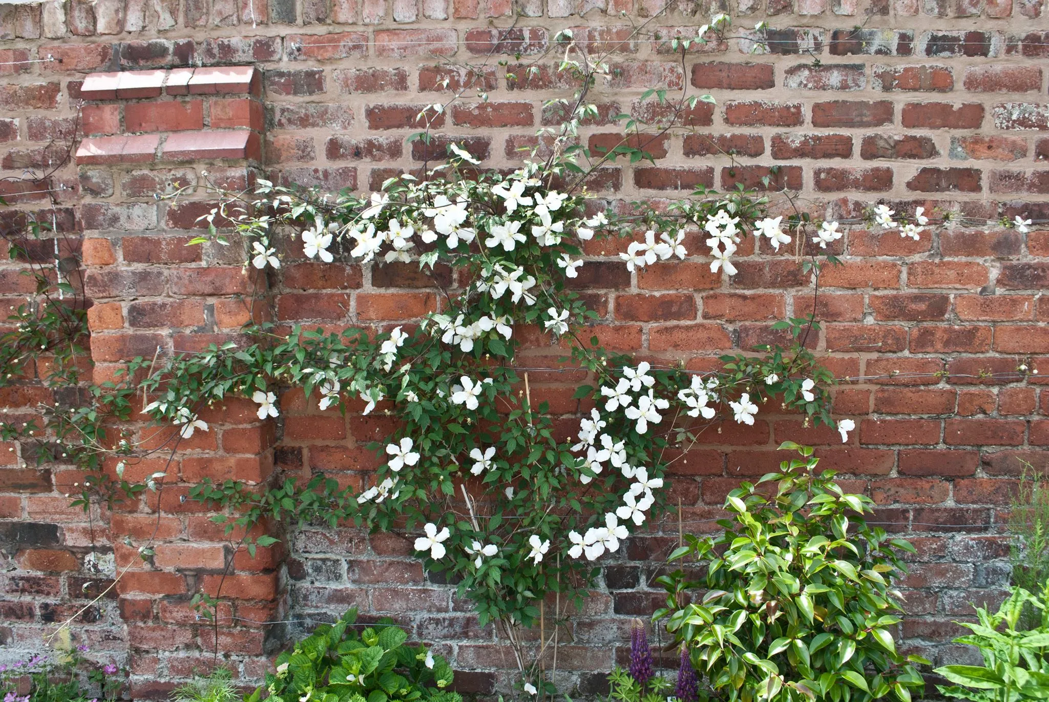 landscape designers in Cheshire 2