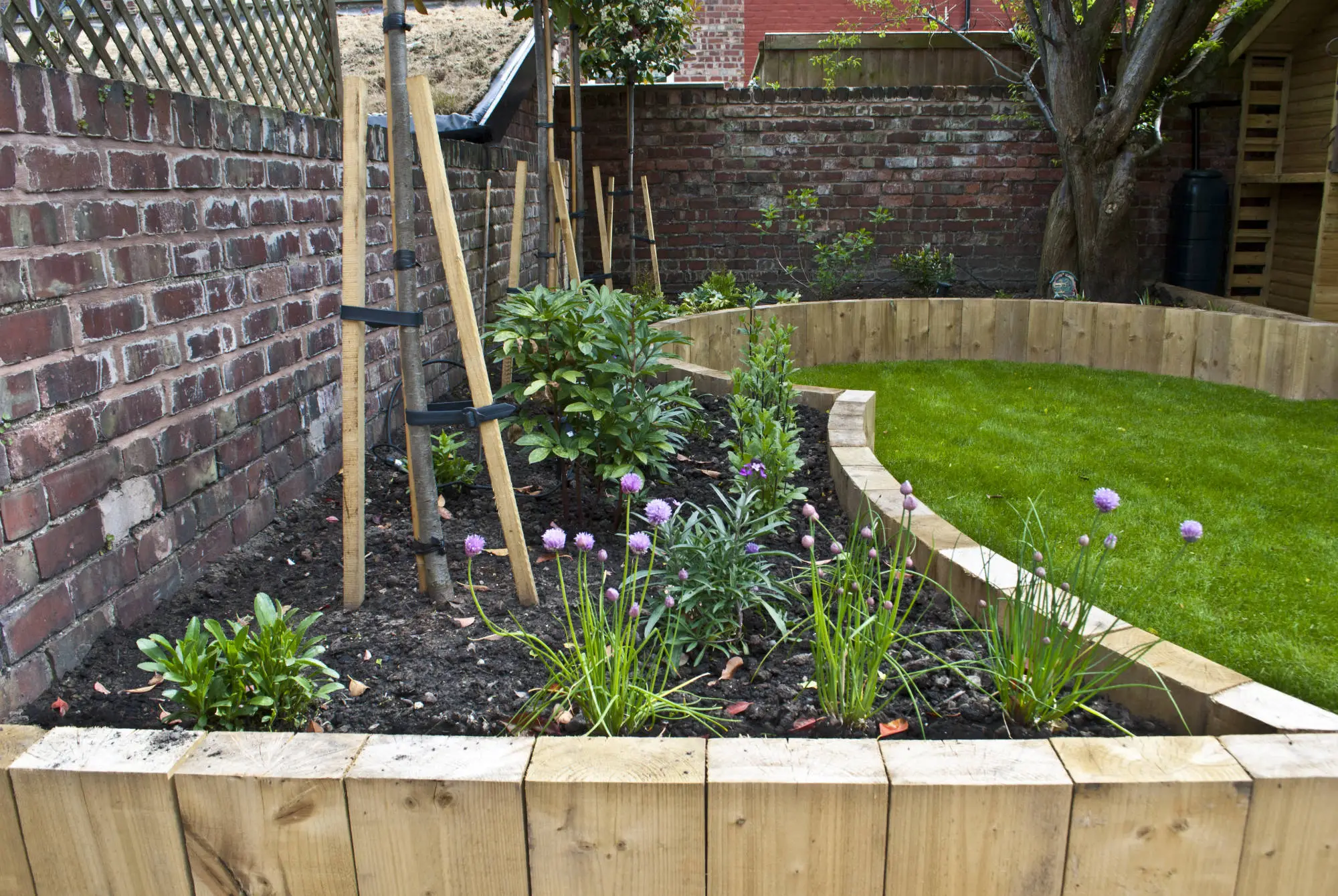 West Chester landscape design 4